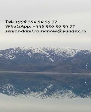 onlain-servis-2day2go-v-brianske-predlozenie-uslugi-v-obieiavlenii-u25795143-na-baraxlanet-big-3