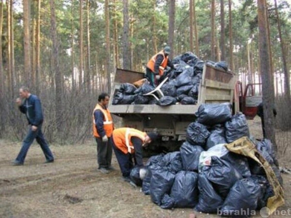 uborka-territorii-vo-vladikavkaze-predlozenie-uslugi-v-obieiavlenii-u8004419-3788185-na-baraxlanet-big-2